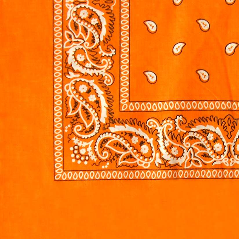 DREAM BANDANA - BULK REGULAR