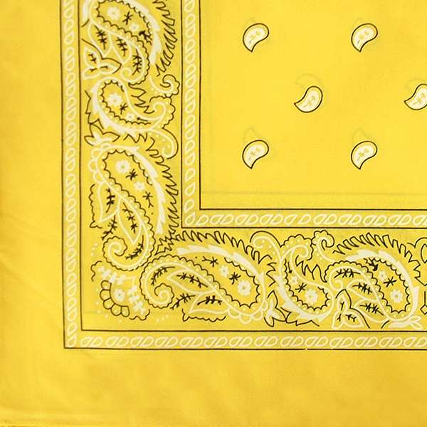 DREAM BANDANA - BULK REGULAR