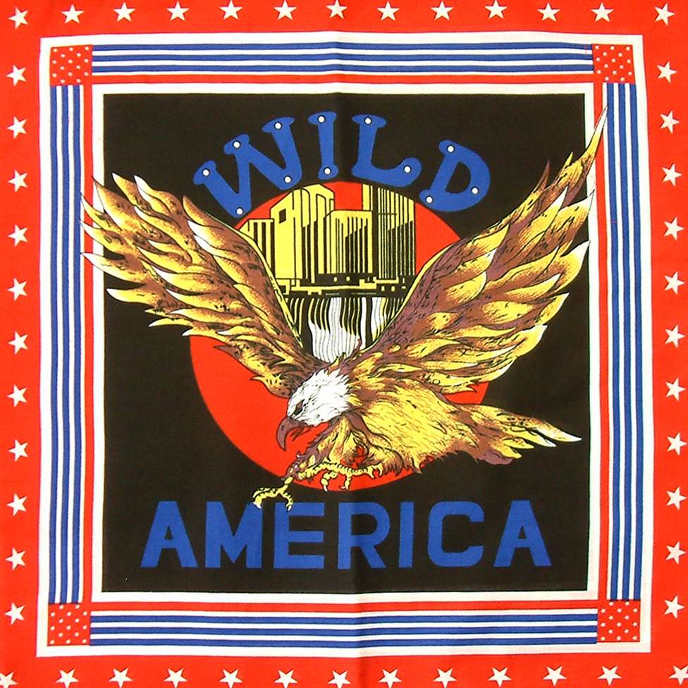 BR BANDANA - BULK DESIGN