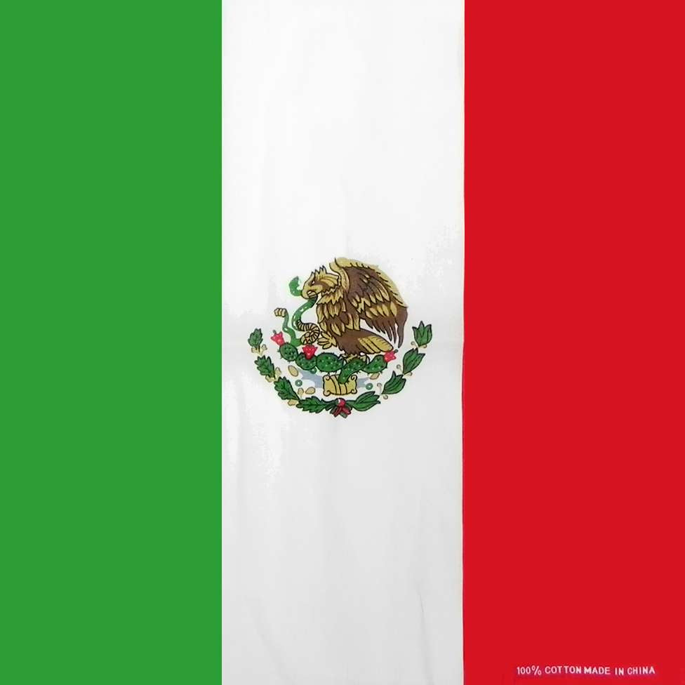 DREAM BANDANA - BULK FLAG