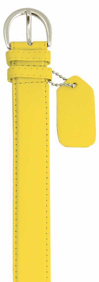 BRF BELT - COACH