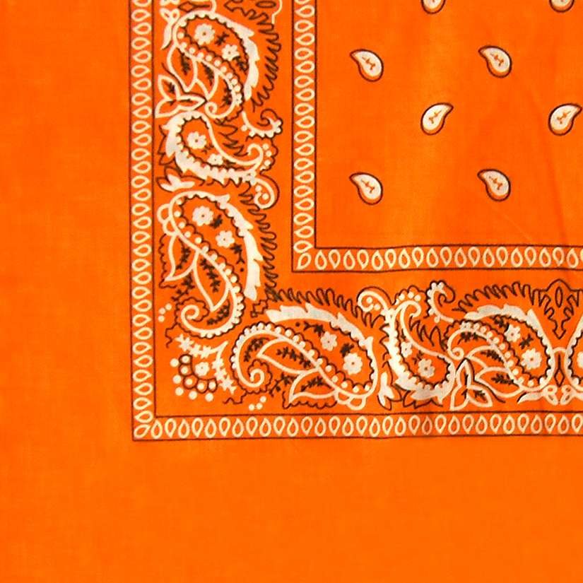 DREAM BANDANA - FOLDED REGULAR