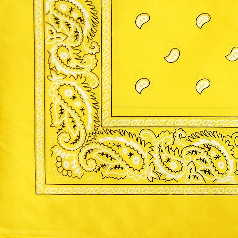 DREAM BANDANA - FOLDED REGULAR
