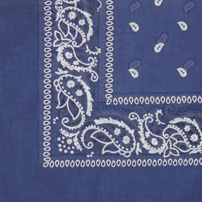 DREAM BANDANA - FOLDED REGULAR