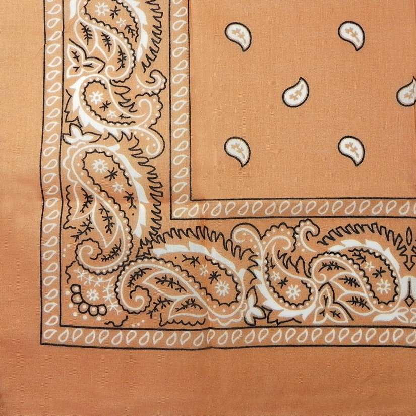 DREAM BANDANA - FOLDED REGULAR