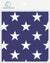 DREAM BANDANA - FOLDED FLAG