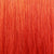 GINGER
