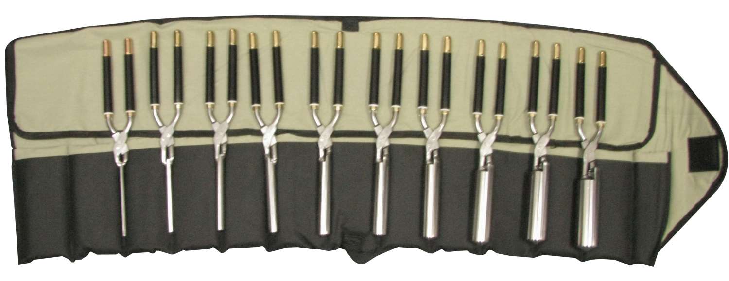 GOLD/SUP PACKED IRON TO GO BAG