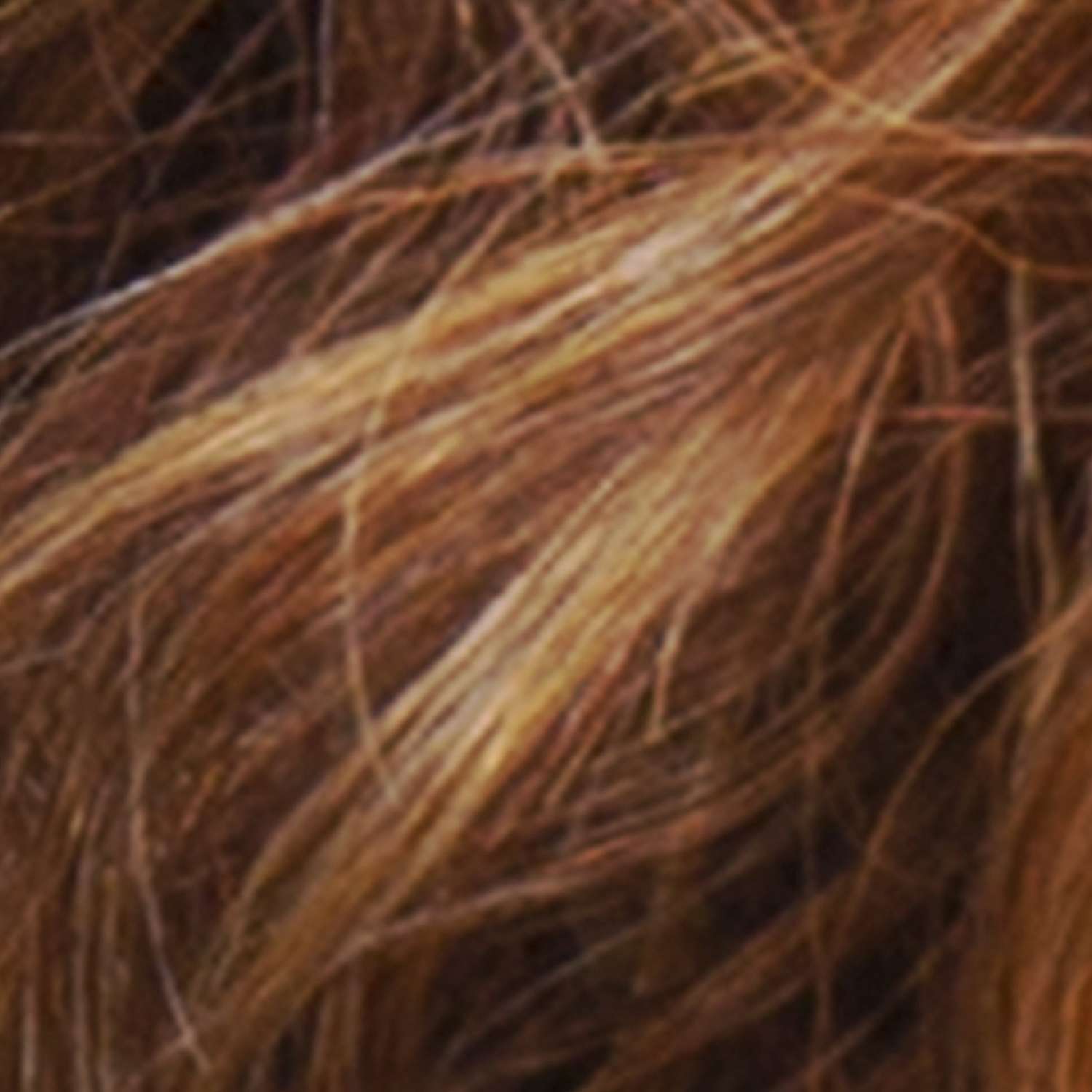 SPICYGINGER