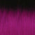 T1B-PURPLE